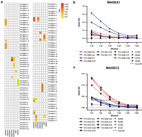 Figure 5. HCC-patients mount CTA-specific IgG responses. CTA-specific IgG responses were measured in 32 HCC patients by indirect ELISA. ELISA plates were coated with human recombinant full length CTA protein, and after incubation with HCC patients’ plasma, CTA-specific IgG was detected by anti-human IgG-HRP. After screening of 1:20 plasma dilutions, the positive samples were titrated. A. Heat map displaying the CTA-specific IgG responses in individual before and at different time points (weeks) after local tumor ablation. Columns show IgG titers against the 7 different CTAs. Colors indicate the detected titers (legend). B, C. Examples of serial dilutions of plasma samples of 3 HCC-patients in MAGEA1 ELISA (b) and of 2 patients in MAGEC2 ELISA (c). The delta optical density (ΔOD) of each plasma sample was calculated by subtracting the sample’s OD in wells coated with BSA from the OD in wells coated with the specific CTA protein. In each ELISA, plasma samples of 4 healthy individuals (indicated by E numbers) were included as negative controls to determine the cutoff OD-value that was used to determine positivity of patient samples. The dotted line indicates the cutoff for each dilution, which was determined by the average plus 10 times the standard deviation of the OD-values of 4 healthy control samples.