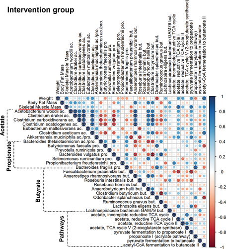 Figure 3. Correlation analysis between weight, body fat mass, skeletal muscle mass and different bacterial strains and metabolic pathways in the intervention group. Pathways for acetate production were the following: incomplete reductive TCA cycle, reductive TCA cycle I, reductive TCA cycle II and TCA cycle V (2-oxoglutarate synthase). Propionate pathways: pyruvate fermentation to propanoate I, propanoate I (acrylate pathway). Pathways for butyrate production were the following: pyruvate fermentation to butanoate, acetyl-CoA fermentation to butanoate II. Statistical significance was designated by **p ≤ 0.01, *p ≤ 0.05.