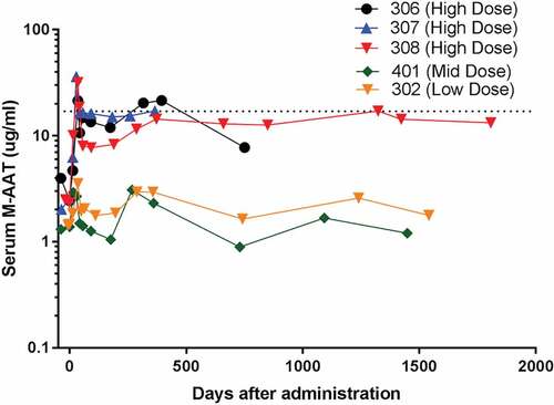 Figure 1. M-AAT serum levels over 5 years after single intramuscular administration of rAAV1-CB-hAAT. AAT serum levels were assayed using a M-AAT-specific ELISA. The doses used were 6.0 × 1012 vg/kg (high), 1.9 × 1012 vg/kg (mid), and 6.0 × 1011 vg/kg (low). The dotted line indicates ~2.5% of the target therapeutic serum concentration (572 µg/mL, 11 µM). Reproduced from [Citation45], © 2017 Mueller et al., licensed under CC BY-NC-ND 4.0.