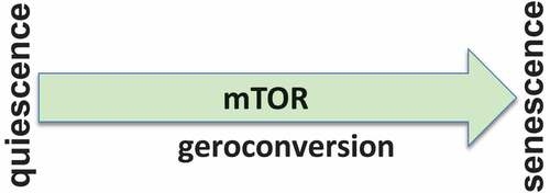 Figure 1. mTOR-driven geroconversion from quiescence to senescence.