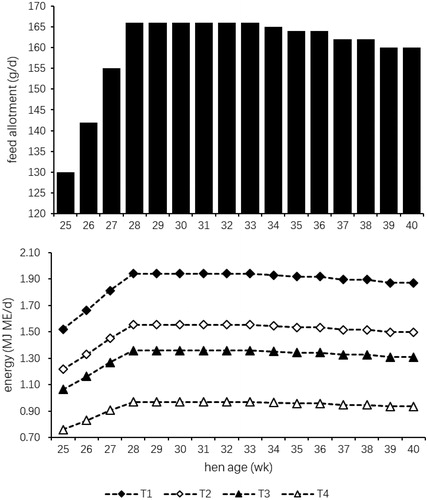 Figure 1. Daily feed and energy allotments provided for hens from 25 to 40 weeks. ME: Metabolizable energy.