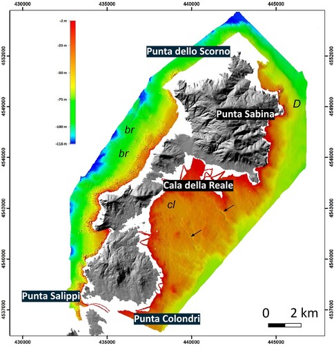 Figure 3. High Resolution swath bathymetric map (Multi Beam) of the Marine Protected Area of the Asinara Island. Arrows indicate the channels of the Cala della Reale emabyment; cl = quasi-circular, funnel shaped clearing, br = beachrocks, D = Dune field (Modified after CitationRomeo et al., Citation2019).