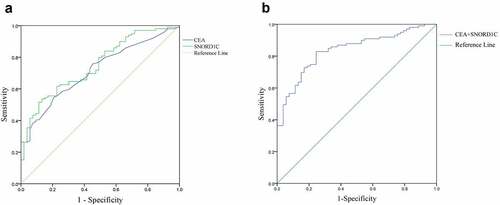 Figure 5. ROC curves to analyze the diagnostic efficacies of SNORD1C and CEA. (a) ROC‐AUC to compare the diagnostic ability of SNORD1C and CEA to discriminate CRC from normal controls. (b) ROC curve of SNORD1C combined with CEA in diagnosis of CRC. ROC, receiver operating characteristic; AUC, area under the ROC curve