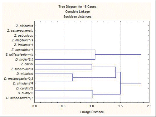 Figure 4. Cladogram obtained from cluster analysis using a presence-absence matrix for the characteristics analyzed in the present study and taken from literature.