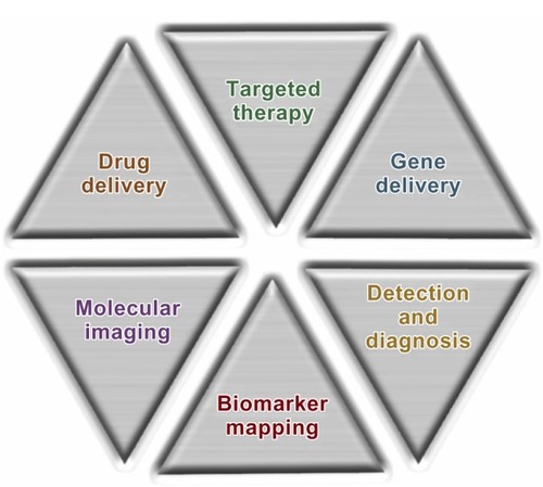 Figure 1 Biomedical applications of nanotherapeutics.