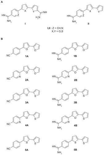 Figure 1 (A) Structures of some biologically important cationic bichalcophene compounds. (B) 4-substituted phenyl-2,2′-bichalcophenes and aza-analogs as potent antibacterial agents.