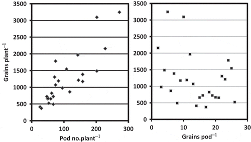 Figure 4 Relationship between pod number and grains per pod in Camelina sativa L.