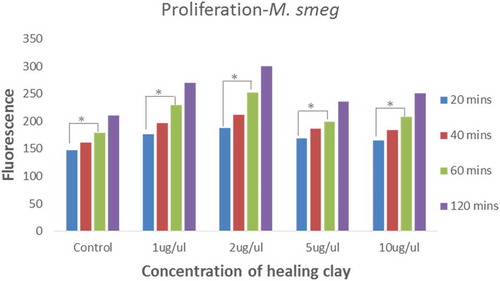 Figure 2. Proliferation of M. smegmatis mc2 155 in the absence and presence of healing clay