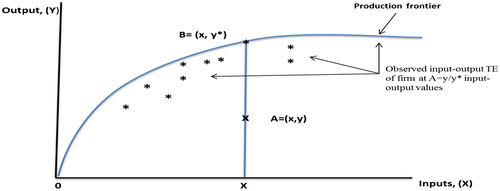 Figure 1. Technical efficiency of firms in input-output space.