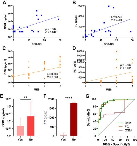 Figure 3 Correlations of fecal OSM and FC with endoscopic activity. Spearman correlation of fecal OSM (A) and FC expression (B) with SES-CD. Spearman correlation of fecal OSM (C) and FC expression (D) with MES. Fecal OSM (E) and FC levels (F) in IBD patients with and without mucosal healing. (G) ROC curves of two fecal biomarkers to identify mucosal healing. **P < 0.01, ****P < 0.0001.