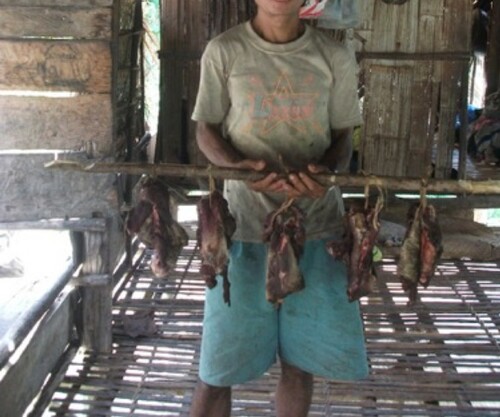 Figure 1. Pala’wan man vending wild boar (Sus ahenobarbus) meat.