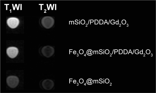 Figure S4 T1-weighted magnetic resonance (MR) images as well as T2-weighted MR images of the mSiO2/PDDA/BSA-Gd2O3 nanocomplex, Fe3O4@mSiO2/PDDA/BSA-Gd2O3 nanocomplex, and Fe3O4@mSiO2 nanocomplex. A 3.0 T human MR scanner was used.