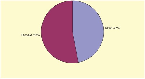 Figure 1 The gender distribution of thrombolysis in 17 ischemic stroke patients with alteplase treatment.