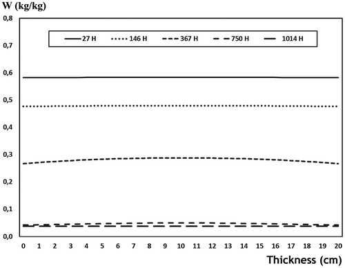 Figure 8. Autoclaved cellular concrete (ACC) water content drying simulation hydric profiles with 10 × Dw.