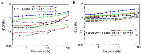 Figure 4. Rheological measurements of dynamic frequency sweep of the LPNF:GEL (a) and F555@LPNF:GEL (b) co-assembled gels at a strain of 1% over a range of 0.1–100 Hz.