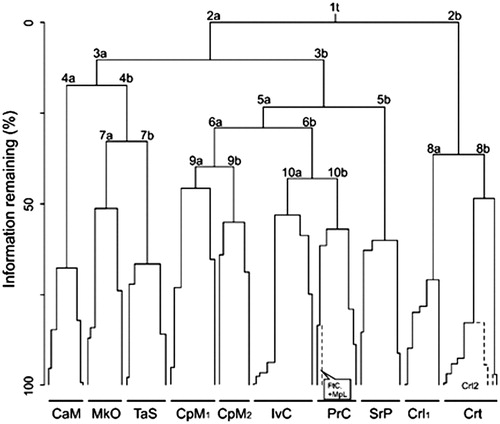 Figure 2. Clustering of relevés. Partitioning levels are indicated by numbers; the two clusters originated at each partition are labelled as “a” and “b”. The main clusters represent the following associations: CaM: Campanulo austroadriaticae-Moltkietum petraeae; MkO: Micromerio kerneri-Onosmetum dalmaticae and Moltkio petraeae-Campanuletum lepidae; TaS: Teucrio arduinii-Seselietum globiferi; CpM1/2: Campanulo pyramidalis-Moltkietum petraeae; IvC: Inulo verbascifoliae-Centaureetum cuspidatae; SrP: Seslerio robustae-Putorietum calabricae; Crl1: Centaureetum ragusinae limonietosum anfracti; Crt: Centaureetum ragusinae typicum; Crl2: Centaureetum ragusinae limonietosum cancellati; FtC: Fibigio triquetrae-Cerinthetum tristis; MpI: Moltkio petraeae-Inuletum verbascifoliae.