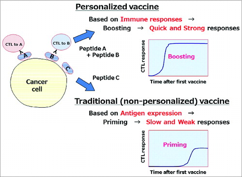 Figure 1. Advantage of personalized peptide vaccine. Personalized vaccine antigens selected on the basis of preexisting host immunity might be better than non-personalized antigens because they can induce quicker and stronger immune responses.