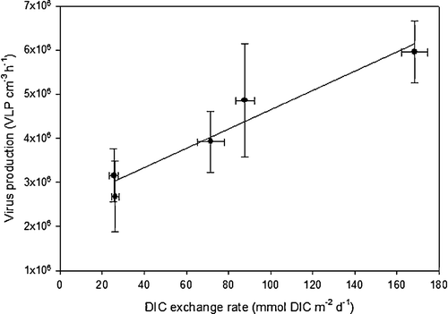 Figure 7.  Virus-like particle production (VP) in the anaerobic incubations (0.5–2 cm sediment layer) as a function of the corresponding total benthic respiration (BR) [measured as the dissolved inorganic carbon (DIC) exchange rate during whole core incubations]. Values are given as±standard deviation, as estimated from the slope of the linear regression lines. The regression line is described by the function VP = 2.2×104 BR + 2.5×106, r2=0.94, P < 0.001.