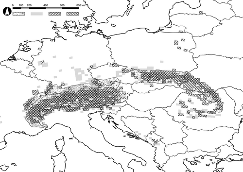 FIGURE 4 Current distribution (dotted), modeled potential distribution in the reference period (grey), and predicted potential distribution in the periods of 2011–2040 (SW–NE hatch) and 2041–2070 (NW–SE hatch) of European larch (Larix decidua Mill.), zoomed to Central Europe.