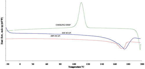 Figure 3. DSC thermogram for pristine PP.