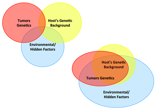 Figure 1. Interplay among categorical modifiers of responsiveness. (A) Classical view of the relationship between host genetic background, tumor genetics and environmental factors. (B) A more likely scenario integrating the large overlap between the genetics of the host and the tumor and the over-reaching effect of environmental factors on both of them.