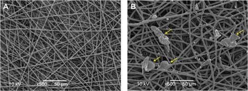 Figure 3 SEM images of (A) control scaffold and (B) scaffolds containing cells immediately after their production.Note: The yellow arrows indicate presence of cells.Abbreviation: SEM, scanning electron microscopy.