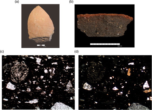 Figure 6 Imported pottery from the settlement at Heit el-Ghurab, Giza: petrography Group 2 — iron-rich, less calcareous, with no chert, Fabric P201. Exemplar — Sample 5, Combed jar base (HeG Reg. 96251), 6-U24, unit 28608, Royal Administrative Building, late 4th Dynasty.a. HeG Reg. 96251 (photo A. Wodzińska).b. Sherd fracture (photo J. Quinlan).c. Thin-section at plane-polarized light (PPL), 100x magnification (micrograph M. Ownby).d. Thin-section at cross-polarized light (XPL), 100x magnification (micrograph M. Ownby).Thin-sections show lack of sand-sized grains, large inclusion at upper left is a possible basalt fragment.