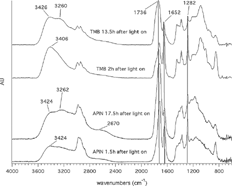 FIG. 2 Comparison of TMB (upper two traces) and APIN-IR spectra at the beginning of the experiment (2 h and 1.5 h, respectively, after turning on the lights) and after 13.5 h and 17.5 h, respectively (the vertical lines at 1726, 1652, and 1282 cm−1 indicate the peaks in all four spectra).