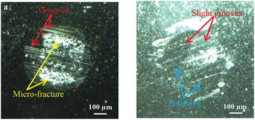 Figure 4. Microscope images of wear scars on SiC balls after sliding against B4C (a) and B4C-SiC (b) ceramics at 5 N.