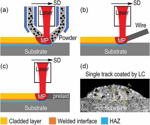 Figure 3. Schematic showing typical laser cladding of metal alloys on metal substrate. (a) Direction deposition using powder feedstock, (b) Direction deposition using wire feedstock and (c) Laser fussion of prelaied powders on substrate. (d) Typical SEM image recorded from the cross-section of cladding path, showing the coating with substrate dilution, i.e. due to the surface melting of the substrate.