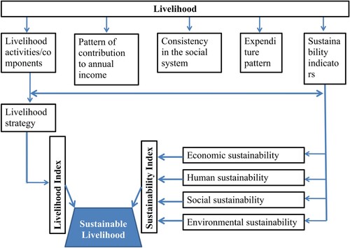 Figure 2. Conceptual Framework for assessment of the sustainable performance of French bean(Source: Authors compilation).