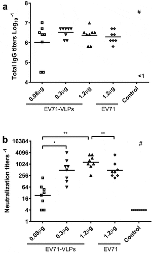 Figure 2. Serum antibody titers of mice immunized with EV71-VLPs and inactive EV71 virus.
