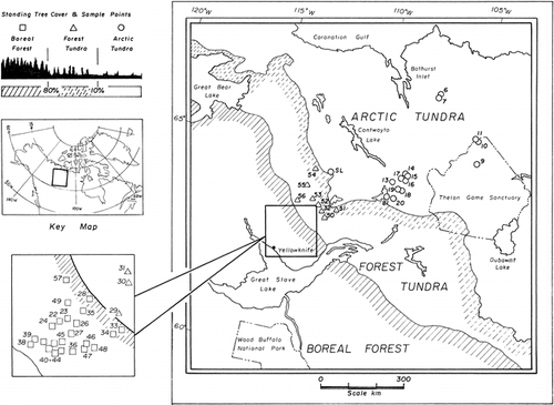 FIGURE 1. Location of the 50 study lakes and their geographical distribution with respect to the position of arctic treeline.