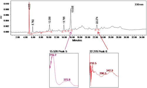 Figure 2.  The UV spectra analysis of peak 5 (RT = 15.535 min) and peak 6 (RT = 22.274 min) of the chloroform extract of B. purpurea (CEBP) at 330 nm exhibiting the λ two max at 215–325 nm and 210–345 nm.
