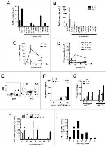 Figure 1. IL-18 is secreted by cancer cells and HCMV-infected cells, and enhances IFNγ production by human Vδ2neg γδ T cells within PBMCs. (A) IL-18 or (B) IL-1β and IL-12 secretion by cancer cell lines. Cancer cell lines were cultured for 48 h and the secretion of cytokines was measured by ELISA from cell culture supernatants. Results are normalized by the same amount of cells used for each cell line. HUVEC endothelial cells were infected with HCMV at various multiplicities of infection (MOIs), and cell culture supernatant at 24 and 48 h post-infection was used to monitor (C) IL-18 or (D) IL-1β and IL-12 secretion by ELISA. Data are expressed as concentration of cytokines (pg/mL; mean ± SD; n = 3). (E) Example of Panδ immunotyping from whole blood. Peripheral blood mononuclear cells (PBMCs) were isolated from the blood of a kidney transplant patient and Panδ populations were quantified using anti-panδ and anti-Vδ2 antibodies within the CD3+ population by flow cytometry. (F) PBMCs isolated from a patient with expanded Vδ2neg population (>12% of CD3+) were incubated with various concentrations of anti-Vδ1 and anti-Vδ3 antibodies in the presence or absence of recombinant IL-18 (50 ng/mL) for 24 h at 37°C, then IFNγ secretion was measured by ELISA from cell culture supernatants (mean ± SD; n = 3). (G) Same as in (F) but PBMCs from another patient were treated with either anti-Vδ1 or anti-Vδ3 antibodies at various concentrations in the presence or absence of recombinant IL-18 or IL-1β (50 ng/mL) for 24 h at 37°C; then, IFNγ secretion was measured by ELISA from cell culture supernatants (mean ± SD; n = 3). (H) IFNγ secretion obtained from several kidney transplant patient's PBMCs was normalized by the same number of Vδ2neg γδ T cells and plotted as raw data. Anti-Vδ indicates treatment with combined anti-Vδ1+anti-Vδ3 antibodies (10 μg/mL each). (I) IL-18 response is represented as fold induction of IFNγ secretion after IL-18 treatment (anti-Vδ2neg +IL-18/anti-Vδ2neg). ★, P < 0.05.