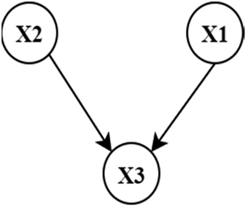 Figure 2. Sample BN with three nodes X1, X2, X3 (This figure is available in colour online.).