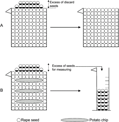 Figure 1. Graphical representation of the procedure to measure the apparent volume of potato chips. (A) Step to calibrate the amount of rape seeds to use. (B) Step to quantify the volume occupied by the potato chips.