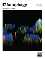 Cover image for Autophagy, Volume 10, Issue 6, 2014