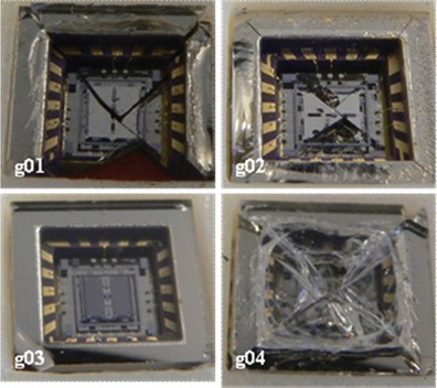 Figure 6 All test articles after the 60,000 g-load. Severe glass cover failure observed in three articles: g01, g02, and g04.