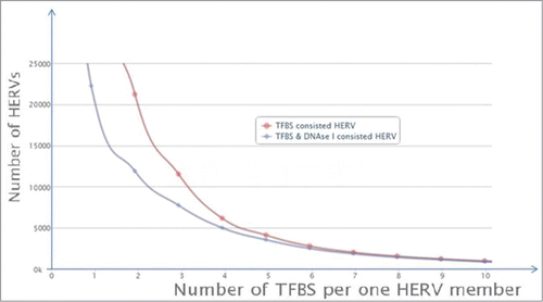 Figure 2. Distribution of the individual TFBS and DHS-containing ERV/LR elements is dependent on the number of TFBS per single element. “TFBS consisted HERV” means individual ERV/LR elements containing TFBS, shown in red; “TFBS & DNase I consisted HERV” means individual ERV/LR elements containing both TFBS and DNase I hypersensitivity site(s), shown in blue.