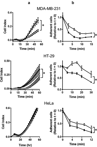 Figure 1. The effect of NAT1 deletion on cell adhesion. (a) Adherence of MDA-MB-231, HT-29 and HeLa cells was quantified in a xCELLigence RTCA DP analyser by increased impedance as cell adhered to each well (cell index). Parental cells (●); KO cells (〇). (b) Removal of cells from plastic culture plate with 0.05% trypsin. Data are presented as mean ± sem, n = 4. Asterisk indicates p < 0.05 by two-way ANOVA