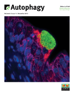 Cover image for Autophagy, Volume 8, Issue 11, 2012