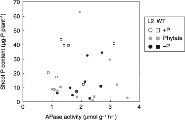 Figure 5  Relationship between acid phosphatase (APase) activity in the rhizosphere soil and P accumulation.