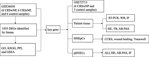 Figure 1 Workflow diagram of data collection and analysis.