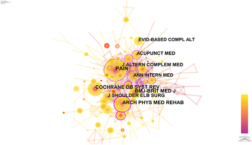 Figure 6 Network map of co-cited journals about acupuncture treatment for shoulder pain.