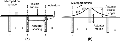 Figure 4 Schematic of microconveyor showing actuator spacing and stroke length.