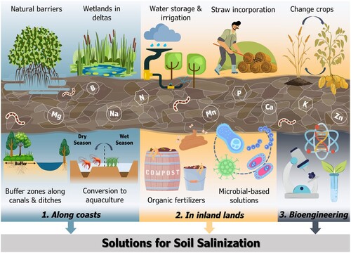 Figure 17. A conceptual framework on sustainable solutions in mitigating soil salinization in agriculture (Source: Tarolli et al. Citation2024)