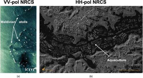 Figure 9. Micro-SAR satellites. (a) VV-polarized ICEYE StripMap image collected on 25 December 2019 over the northernmost atolls of Maldives, Indian ocean (courtesy of ICEYE under creative common license). (b) HH-polarized Capella spotlight image collected on 13 January 2021 over the Saguling dam reservoir in West Java, Indonesia (courtesy of Capella Space).