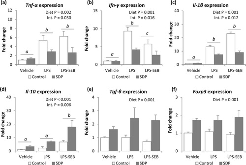 Figure 5. Effects of SDP supplementation on cytokine and transcription factor expression in lung tissue after LPS or LPS-SEB administration. Panels (a) to (f) show the expression of Tnf-α, Ifn-γ, Il-1β, Il-10, Tgf-β and Foxp3, respectively. Between inflammatory conditions, means without a common letter differ, P < .05. Results are expressed as mean ± SEM (n = 8). Int., interaction between both factors (challenge and diet).