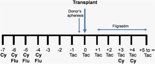Figure 1. Scheme of the ‘Mexican Method’ to conduct haploidentical hematopoietic stem cell transplants on an outpatient basis. Cy = cyclophosphamide; pre-transplant Cy: 500 mg/m2; post-transplant Cy: either 25 or 50 mg/Kg. Flu = fludarabine, 25 mg/m2. Tac = tacrolimus.